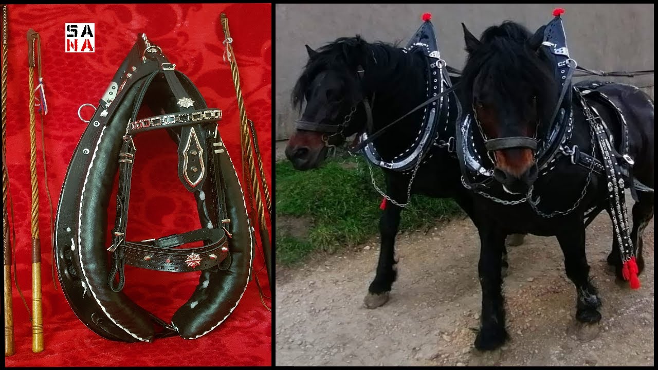 Leather horse collar 