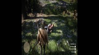 Ain't no healing this, take Whiskey instead!😹😹_ wolf attack - RDR2 #shorts