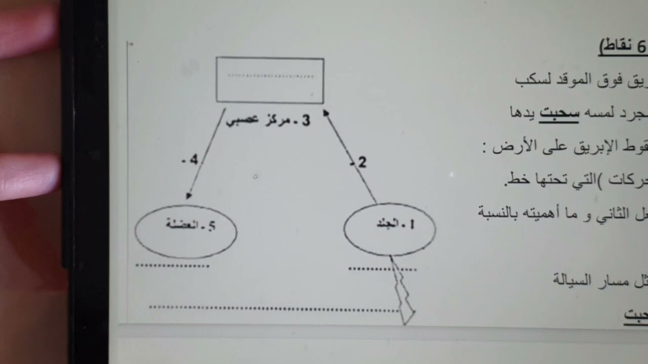 فرض الفصل الثاني علوم طبيعية سنة رابعة متوسط