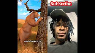 Why This US Soldier Wore a Bear Suit 😲#shorts #collab