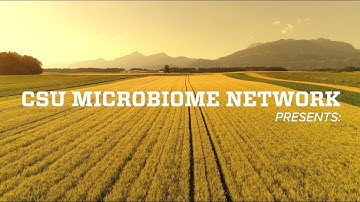 Microbiome Research: CSU Leads The Way In Microbiome Science