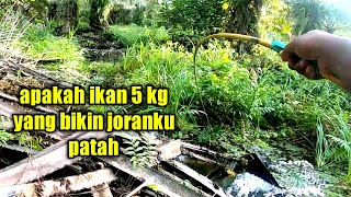 Apakah ikan 5 kg yang bikin joranku patah || Mancing betok monster