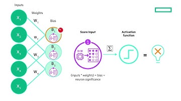 HPE Learn On-Demand: Key functions of Artificial Neural Networks