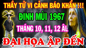 Cảnh Báo Chấn Động Từ Thầy Tử Vi: Đinh Mùi 1967 TRÁNH NGAY ĐIỀU NÀY 3 Tháng Cuối Năm 2025!