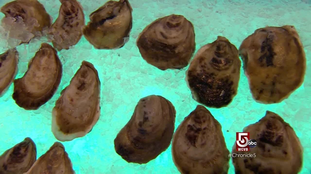 Natural resources of New Hampshire's Great Bay