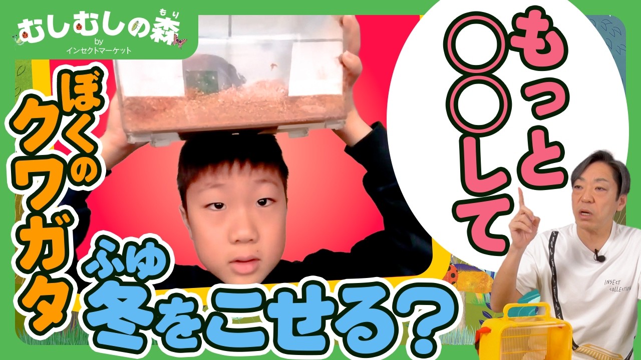 【昆虫】ぼくのクワガタは冬を越せるの？【むしむしの森】香川照之・カァーブル先生・昆虫採集・子ども向け・自由研究・知育・教育・生き物・カブトムシ・クワガタ・てんとうむし・カマキリ