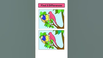 Spot 3 Differences #2243