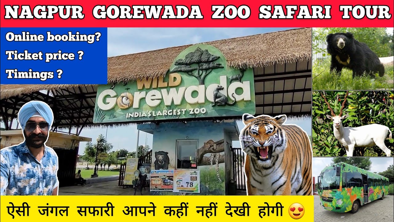 Gorewada zoo nagpur zoo - gorewada zoo nagpur entry fees | Nagpur zoo gorewada jungle safari nagpur