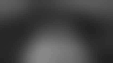 BacoN - DIVIDE AND PROFIT (Warning:Some Images not suitable for children))