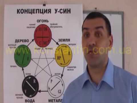 Теория У-Син (5-и элементов).avi