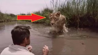 На мужчину из кустов прыгнула огромная львица... только посмотрите, что произошло дальше
