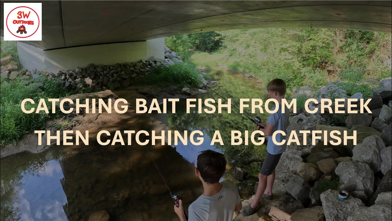 Fishing Friday: Catching Bait Fish From Creek Then Catching A Big Catfish