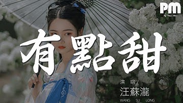 有點甜 - 汪蘇瀧『用心刻畫最幸福的風格』【動態歌詞Lyrics】