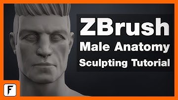 ZBrush Male Anatomy Sculpting Tutorial + Free Bonus Content