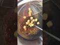 Chilli panner Recipe # Dry &amp; Gravy # ARFC