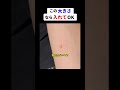 この大きさなら入れてOK #funny #海外 #shorts