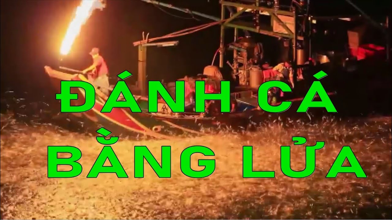 NNDD-Độc lạ với cách đánh cá bằng lửa. - YouTube
