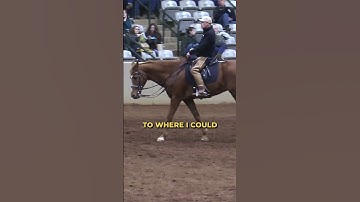 Why You Get The Horse To Follow Your Focus...