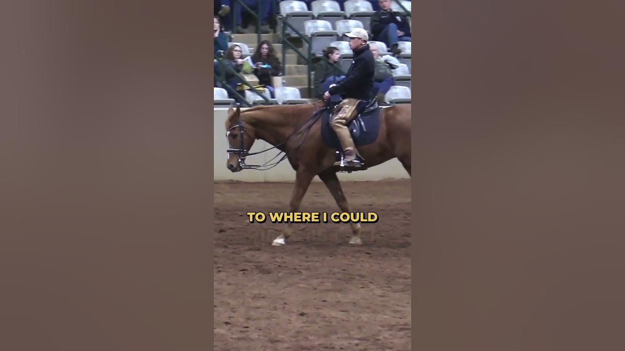 Why You Get The Horse To Follow Your Focus... YouTube