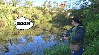 Viral..!! Cewek Taiwan Ini Ternyata Jago Casting Toman || Lady Angler Mancing Casting Ikan Gabus