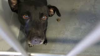 acs A685765