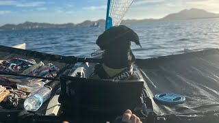 Hacia isla Perdiguera en Hobie tandem island