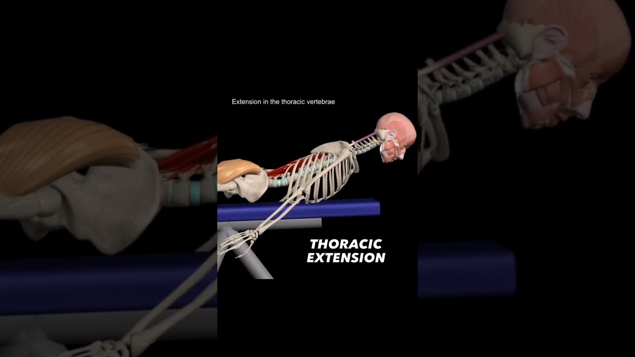 thoracic extension  