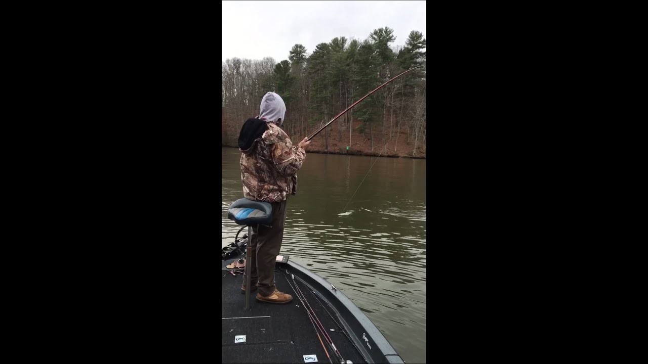 Catching stripers on smith mountain lake! YouTube