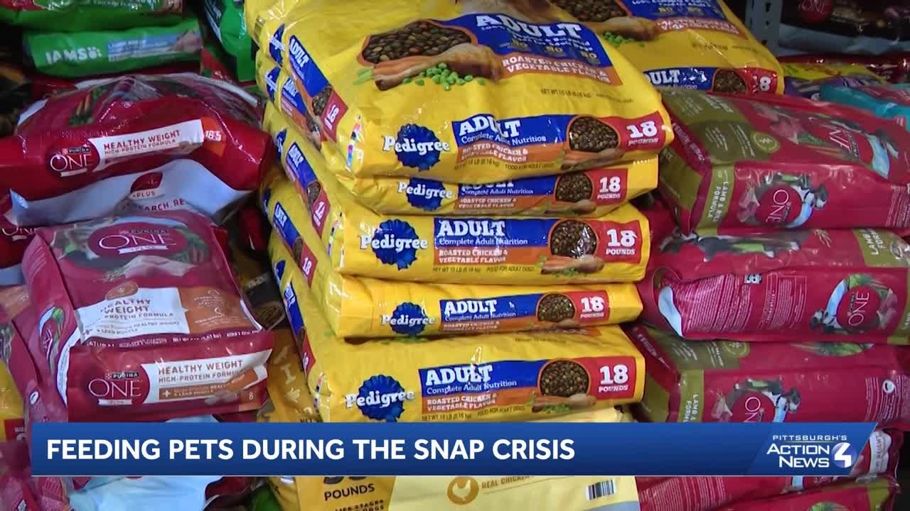 SNAP delays leave families choosing between feeding themselves or their pets