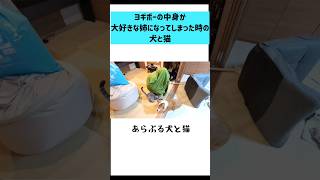 ヨギボーの皮をかぶった姉とざわつく犬と猫