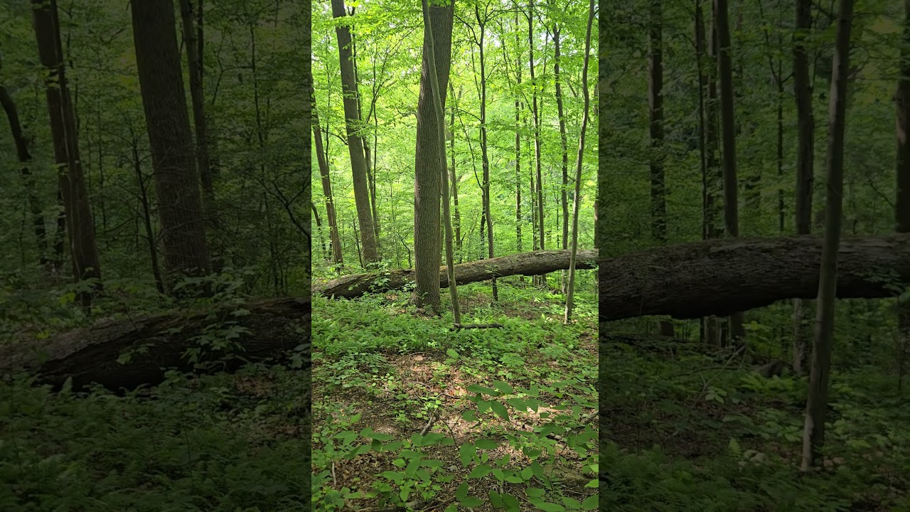 Walk and listen... Source will respond.