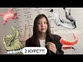 2 курс стоматология | мой опыт! Асфендияров | Казнму | толық қазақша!!!