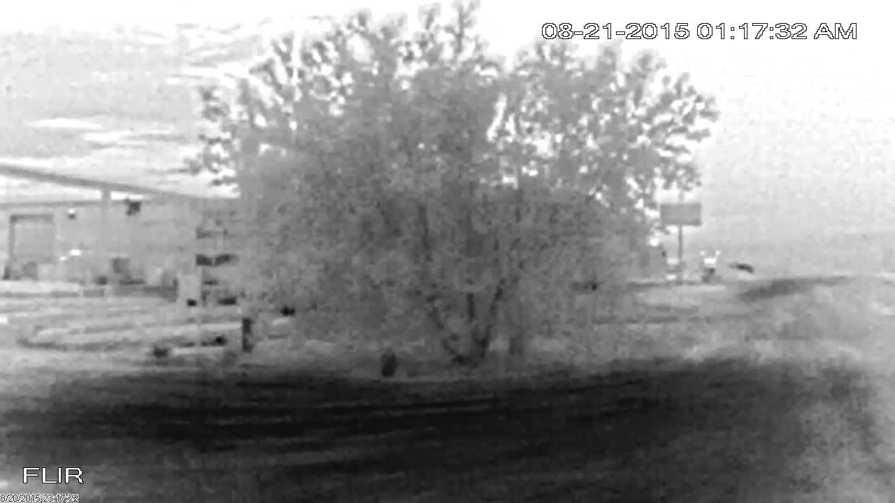 FLIR T43 Thermal Camera finds lost cat at Two Hills Alberta UFA gas