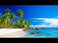 Beautiful Relaxing Music - Stop Overthinking, Stress Relief Music, Sleep Music, Calming Music #110