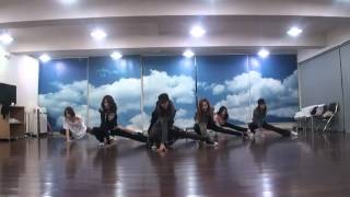 Video thumbnail of "Girls' generation - The Boys dance practice ver."