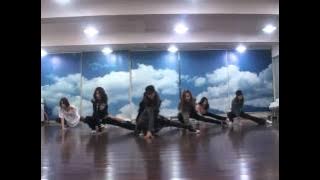 Girls' generation - The Boys dance practice ver.