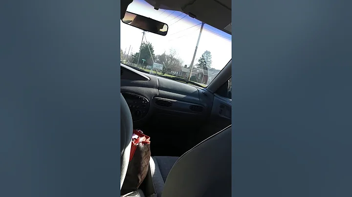 seriously let the 7 year old drive