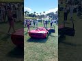 Ferrari 206 S Dino
