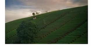 JAGA DIRIMU BAIK-BAIK DI SANA YA