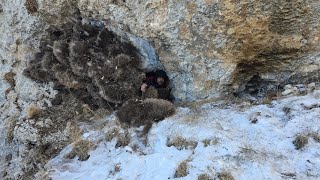building survival shelter winter/stay warm overnight in cold winter weather no fire.asmr