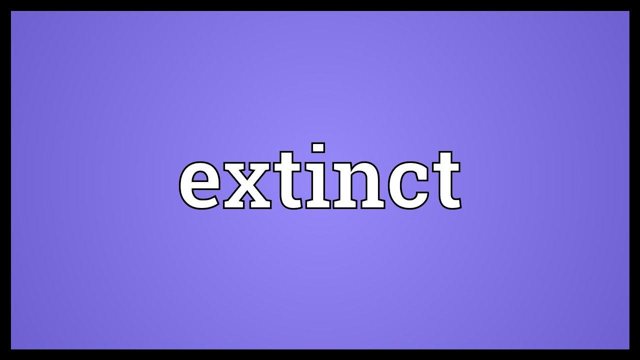 Extinct Meaning - YouTube