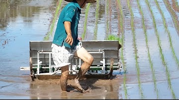 Máy cấy lúa mini 2023