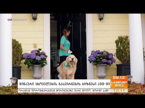 შინაური ცხოველების გასეირნების ბიზნესი აშშ-ში