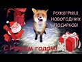 Раздача Новогодних подарков от Кольской лисы и налима / Distribution of New Year's gifts