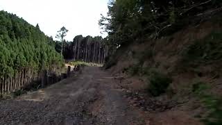 愛宕山(ダルマ峠→ウジウジ峠→松尾峠のお地蔵さん分岐)@220828_1403-1407