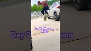 Day 22 Afternoon Ollies