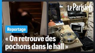 Paris Des Locataires Terrorisés Par La Présence Dun Squatteur-Dealer Dans Les Caves