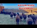 DOĞUMLAR SONA YAKLAŞTI - ADAK KESİMİ - Arabanın son durumu