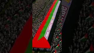 #love #palestine #support #palestine #trending #viral #1million #support #ytshorts #youtubgaidline