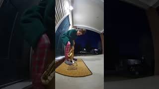 Fat Orange Cat absolutely must practice his saxophone today! #cat #funny